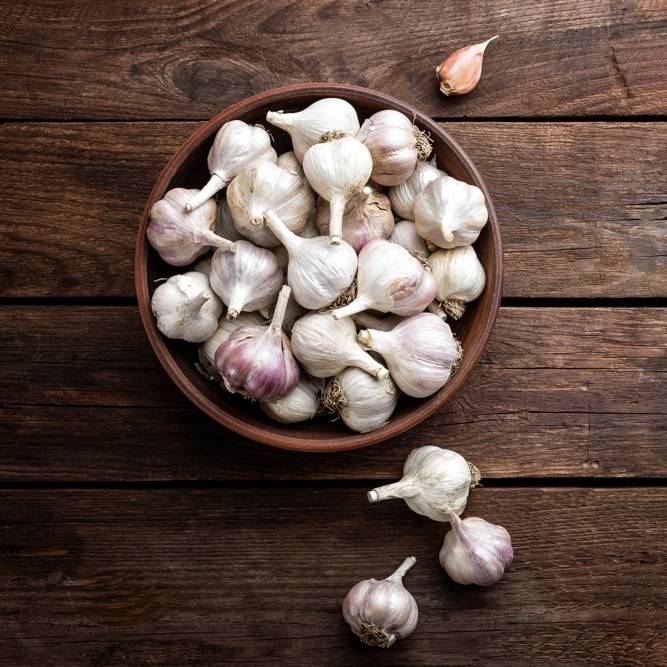 Garlic health benefits