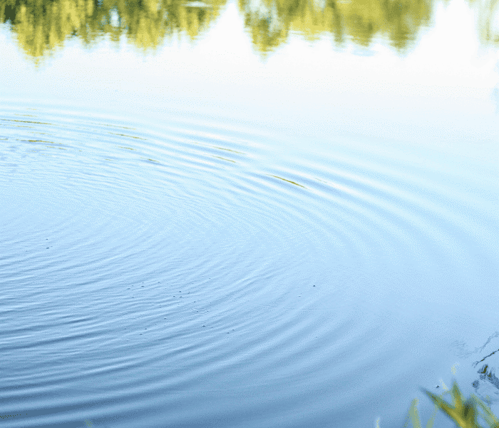 Зуд купальщика3.png