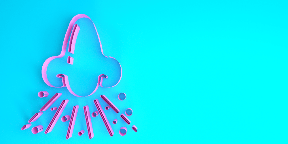 нос.png нос.png