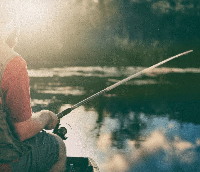 Описторхоз рыбы2.png