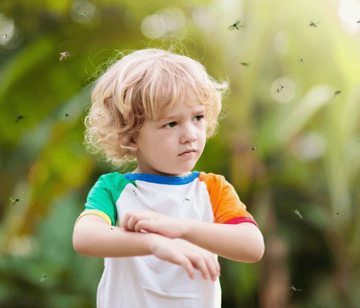 Травмы летом3.png