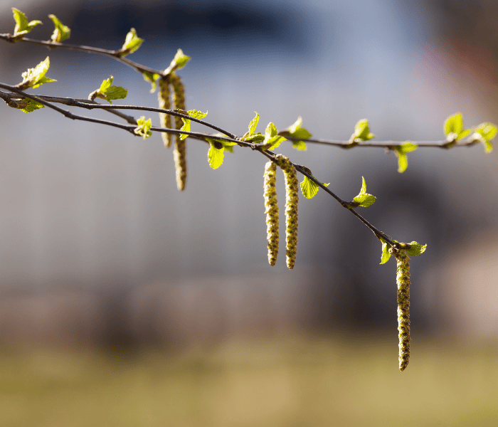 Картинки в статьи.png