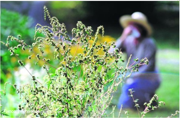 alerg2.png