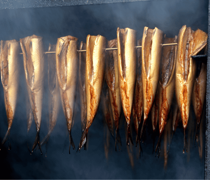 Описторхоз рыбы4.png